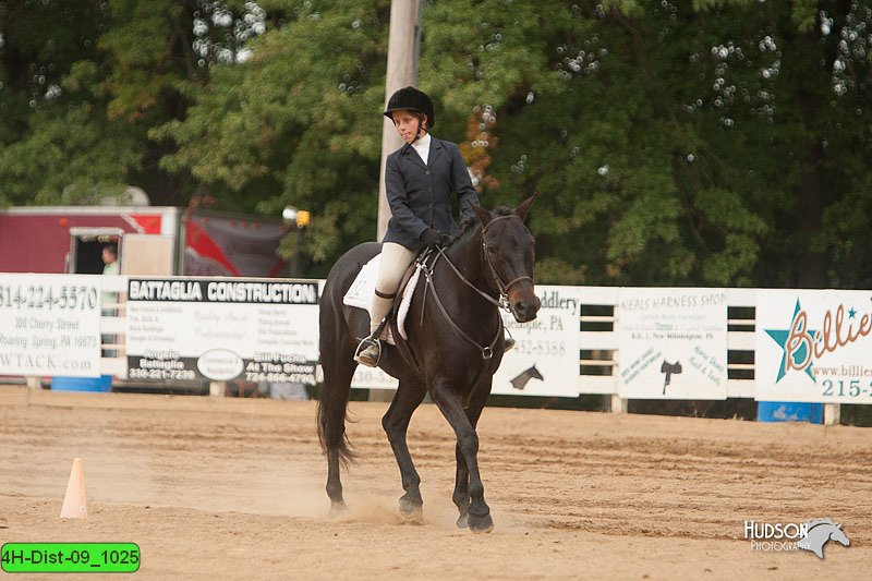 4H-Dist-09_1025.jpg