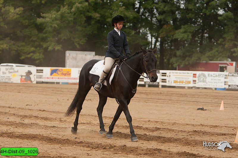 4H-Dist-09_1026.jpg