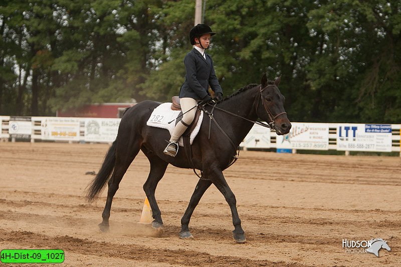 4H-Dist-09_1027.jpg