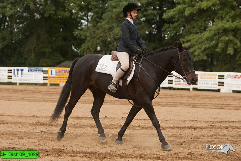 4H-Dist-09_1028.jpg
