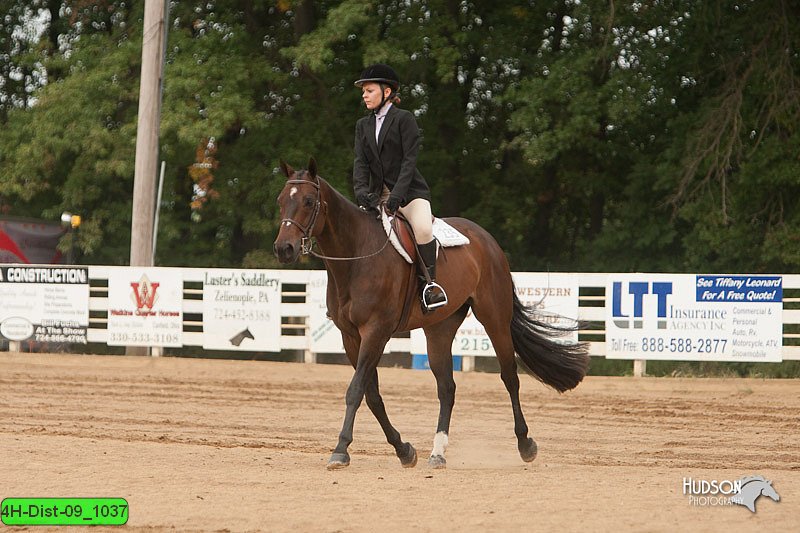 4H-Dist-09_1037.jpg