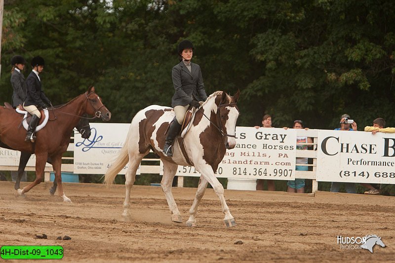 4H-Dist-09_1043.jpg