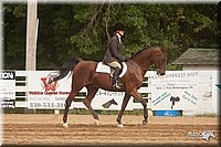 4H-Dist-09_0917.jpg