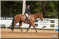 4H-Dist-09_0926.jpg