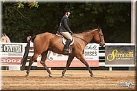 4H-Dist-09_0930.jpg