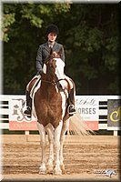 4H-Dist-09_0952.jpg