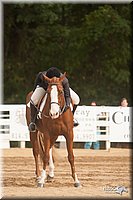 4H-Dist-09_0956.jpg