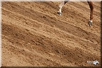 4H-Dist-09_0962.jpg