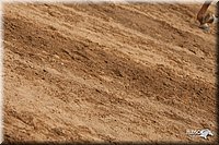 4H-Dist-09_0963.jpg