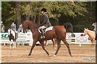 4H-Dist-09_0981.jpg