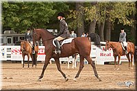 4H-Dist-09_0982.jpg