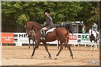 4H-Dist-09_0983.jpg