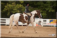 4H-Dist-09_1011.jpg