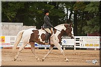 4H-Dist-09_1012.jpg