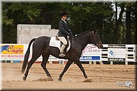 4H-Dist-09_1024.jpg