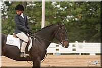 4H-Dist-09_1031.jpg