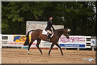 4H-Dist-09_1033.jpg