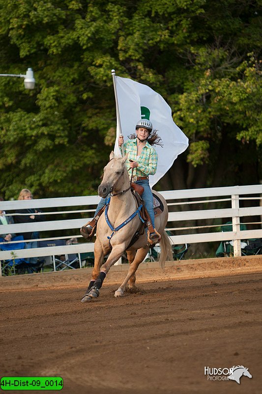 4H-Dist-09_0014.jpg