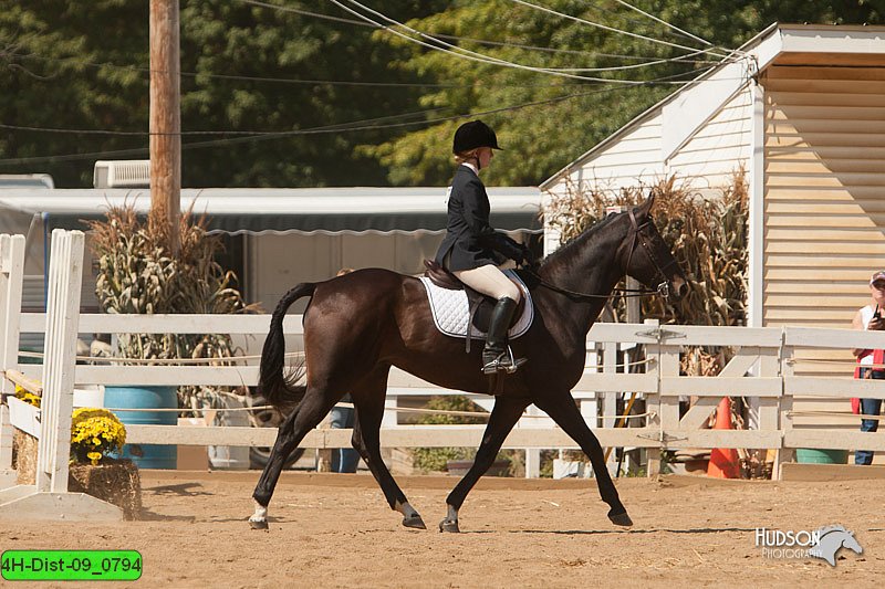 4H-Dist-09_0794.jpg