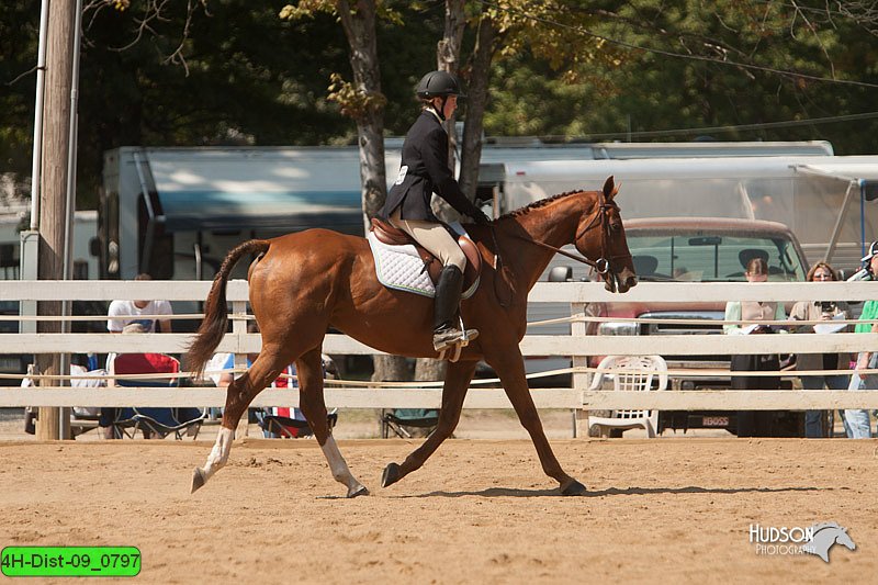 4H-Dist-09_0797.jpg