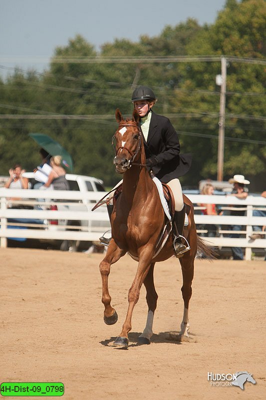 4H-Dist-09_0798.jpg