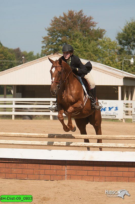 4H-Dist-09_0803.jpg