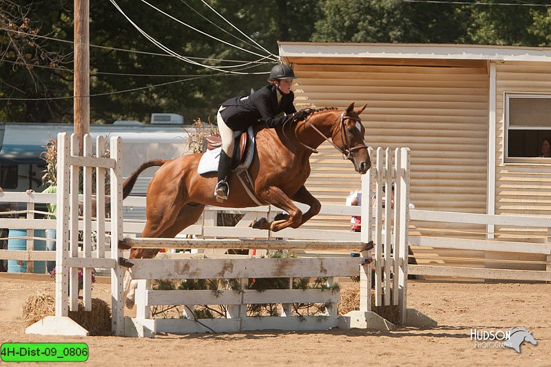 4H-Dist-09_0806.jpg