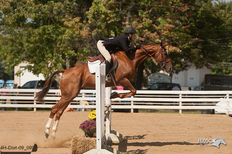 4H-Dist-09_0807.jpg