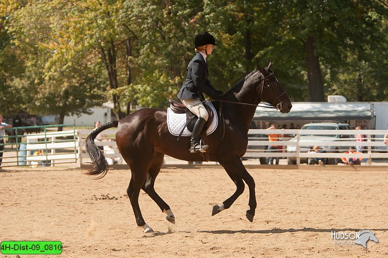 4H-Dist-09_0810.jpg