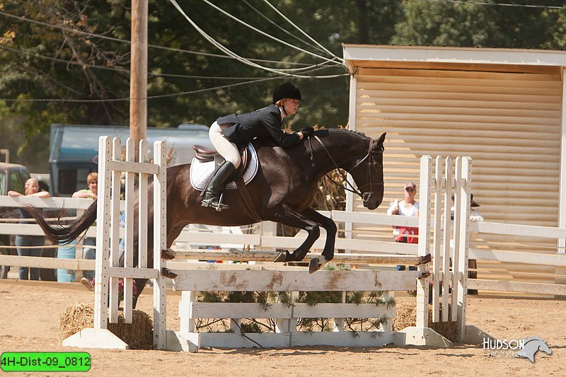 4H-Dist-09_0812.jpg