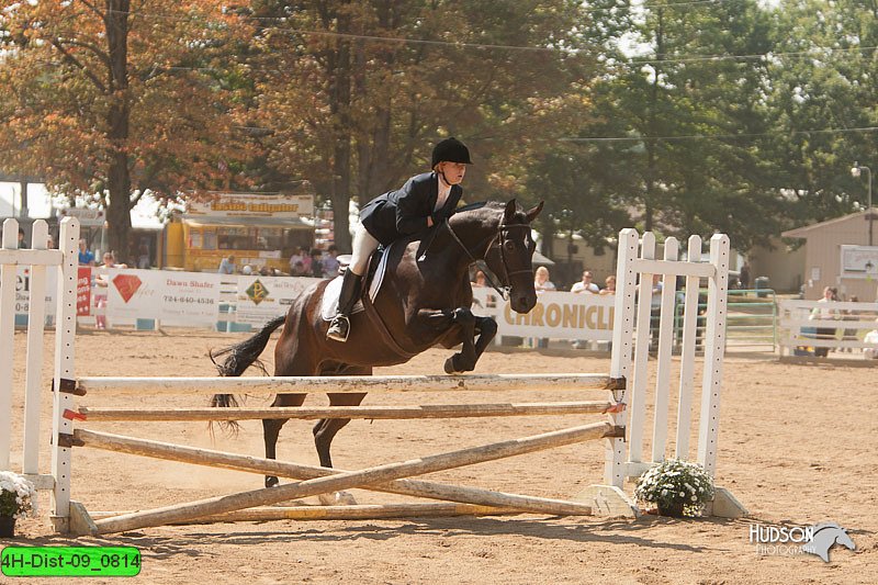 4H-Dist-09_0814.jpg