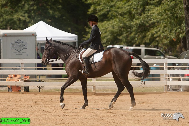 4H-Dist-09_0815.jpg