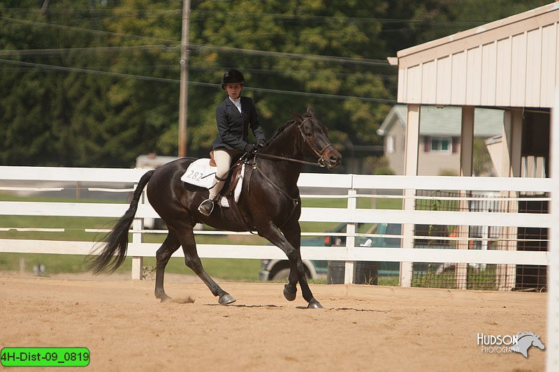 4H-Dist-09_0819.jpg