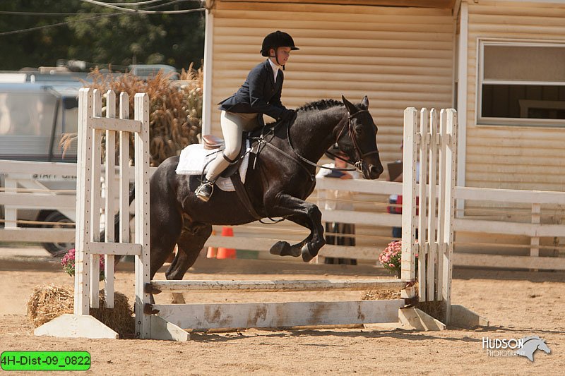 4H-Dist-09_0822.jpg