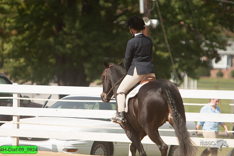 4H-Dist-09_0824.jpg