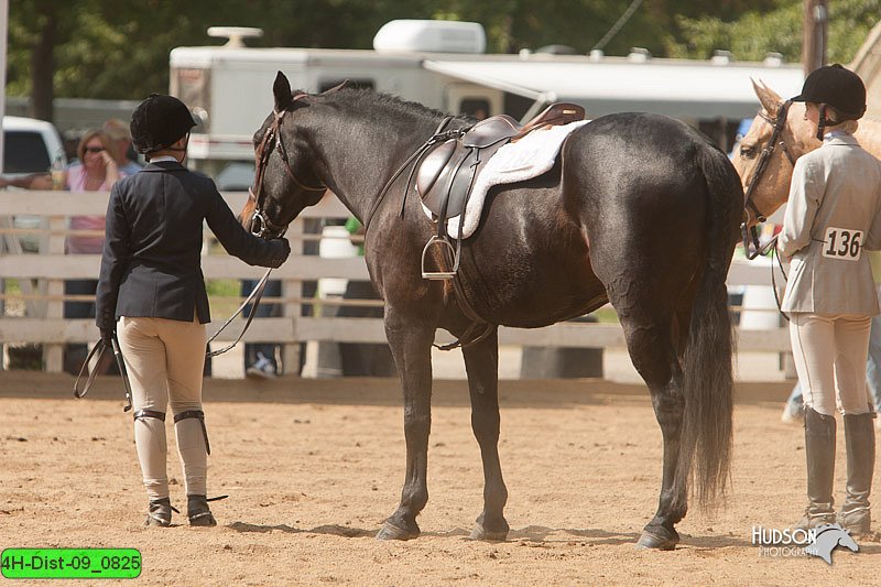 4H-Dist-09_0825.jpg