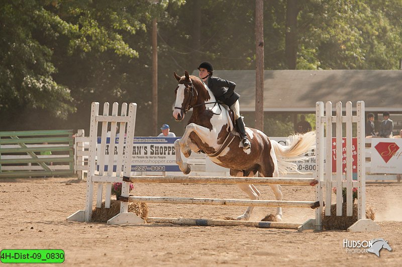 4H-Dist-09_0830.jpg