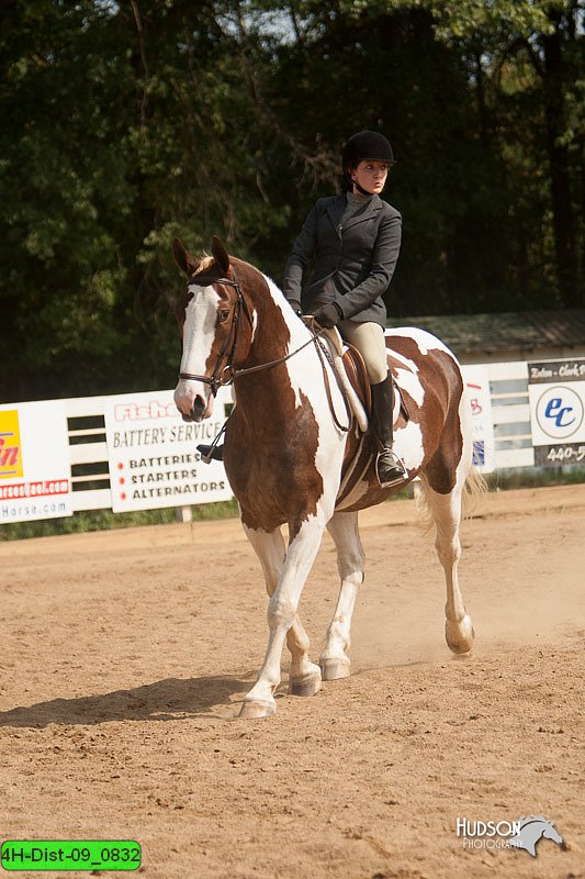 4H-Dist-09_0832.jpg