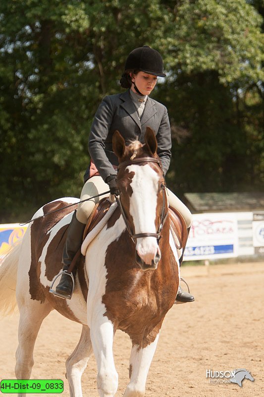 4H-Dist-09_0833.jpg
