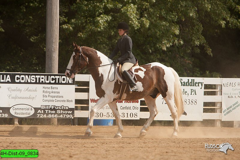 4H-Dist-09_0834.jpg