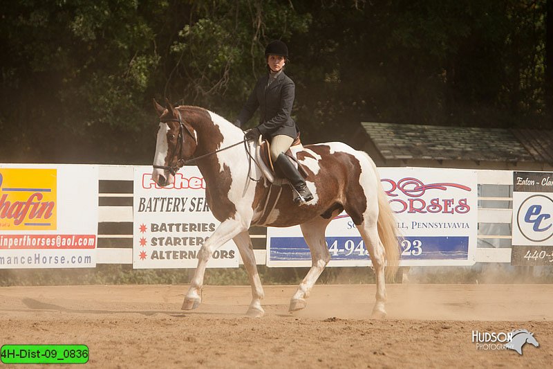 4H-Dist-09_0836.jpg