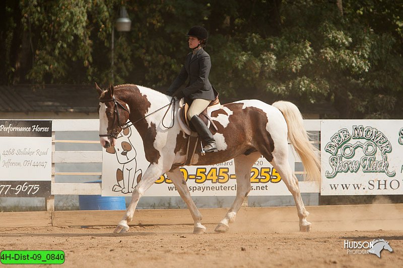 4H-Dist-09_0840.jpg
