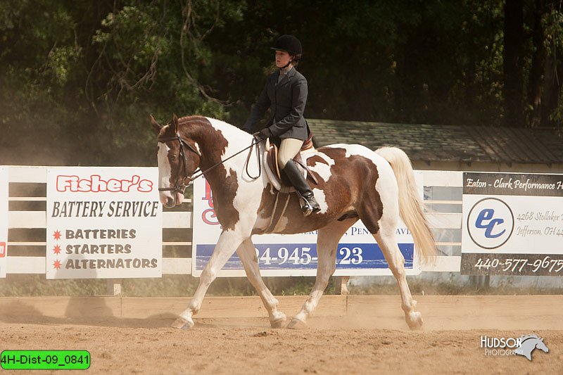 4H-Dist-09_0841.jpg