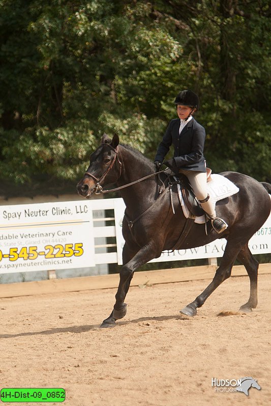 4H-Dist-09_0852.jpg