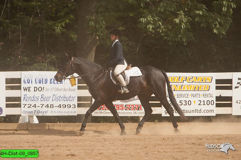 4H-Dist-09_0857.jpg