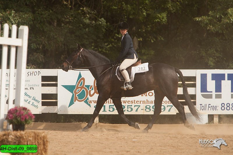 4H-Dist-09_0858.jpg