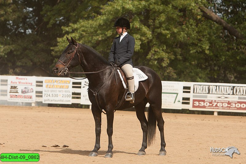 4H-Dist-09_0862.jpg