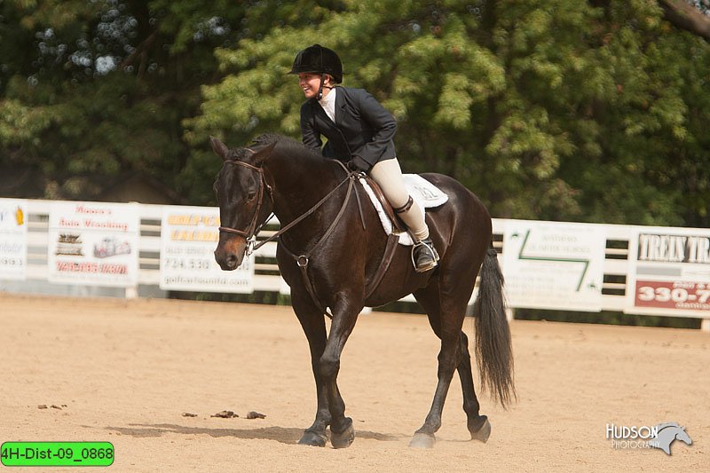 4H-Dist-09_0868.jpg