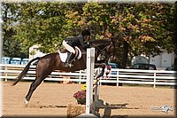 4H-Dist-09_0813.jpg