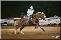 4H-Dist-09_0216.jpg